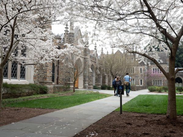 Which Degree Is Right for Me?