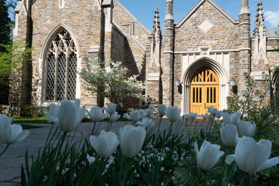 Tulips outside of Duke Divinity School building