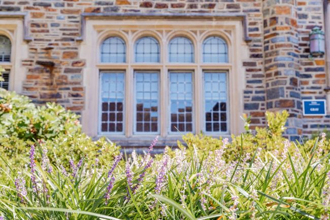 Ornate windows in Gray building with flowers in foreground